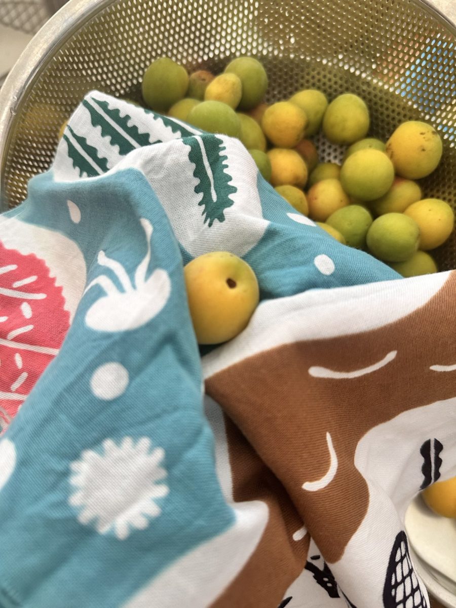 梅を手ぬぐいで拭く